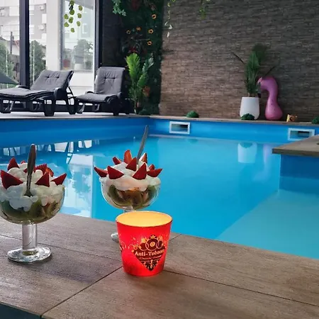 Zatvoreni Bazen Maca Apartment Petrovaradin
