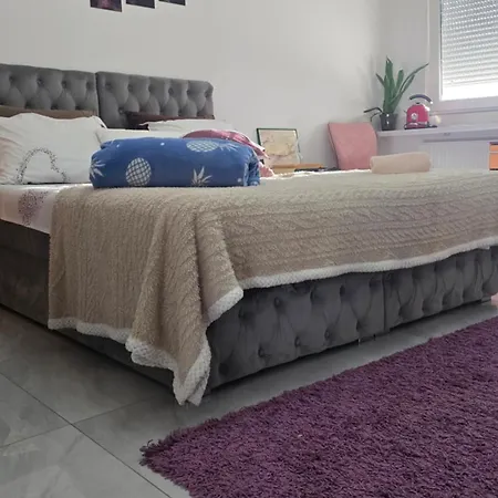Apartment Zatvoreni Bazen Maca Petrovaradin